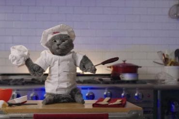 A Cooking Show Starring Animals