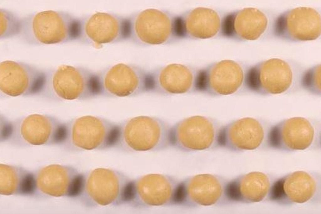 Crunchy Burnt Butter Cookies 8