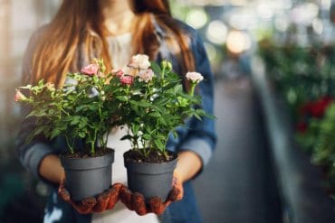 6 Insects That Are Actually Good For Your Garden No.5 Might Be Hard To Accept