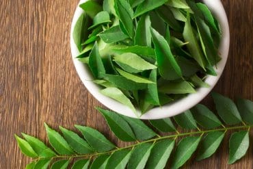 This Is How You Should Be Keeping Your Curry Leaves   LASTS UP TO MONTHS 2
