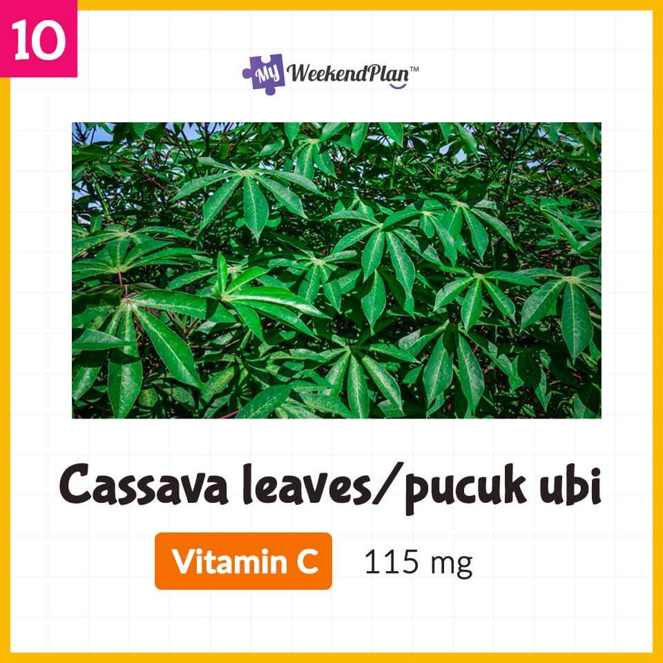 Boost Your Immunity With These Super Food 10 Boost Your Immunity With These Super Food 10