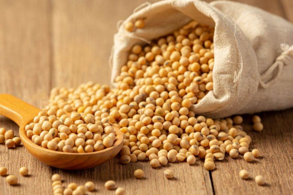 5 Foods To Boost Serotonin And Make You Happier (You’ll Be Happy No.3 Is On The List) 4 Soybeans 1
