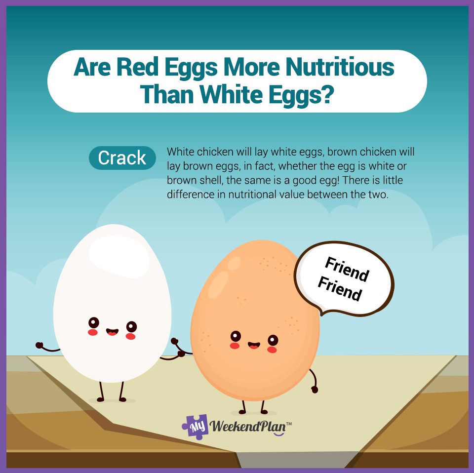 The Knowledge You Need To Know About Egg 6 Are Red Eggs More Nutritious Than White Eggs