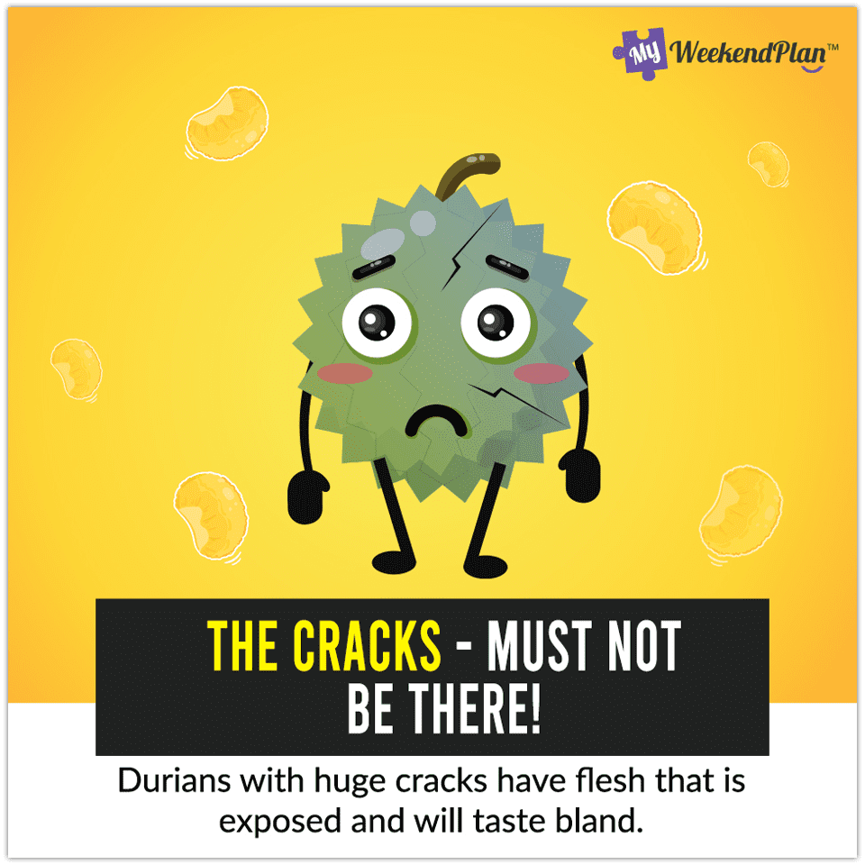 8 Tips To Pick A Good Durian 6 The Cracks Must Not Be There edited