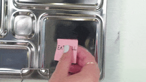 Cream Cheese Toasted Salmon 4 giphy