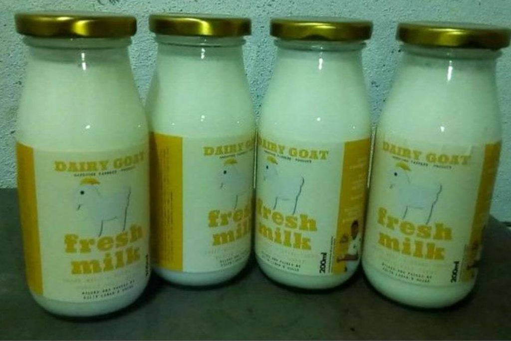 Top 8 Goat’s Milk In Malaysia 2025 2 Dairy Goat Fresh Milk