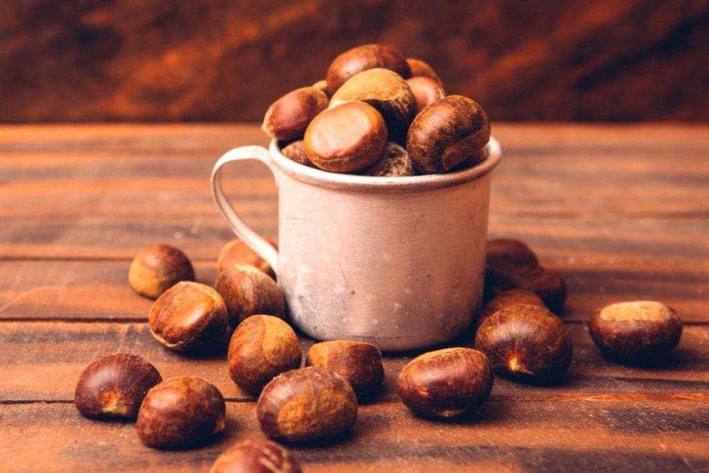 10 Jenis Kacang Terbaik di Malaysia 2025 5 Chestnut