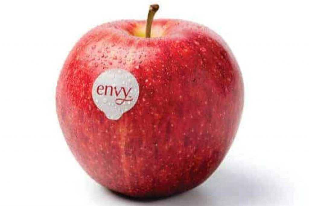 Top 10 Best Types of Apple in Malaysia 2025 8 Envy apple