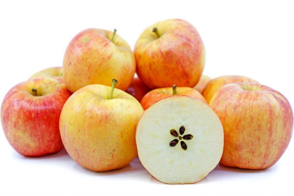 Top 10 Best Types of Apple in Malaysia 2025 4 Gala apple