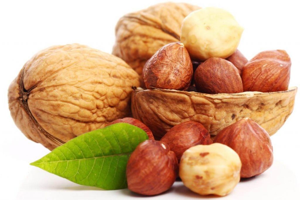 10 Jenis Kacang Terbaik di Malaysia 2025 4 Hazelnut