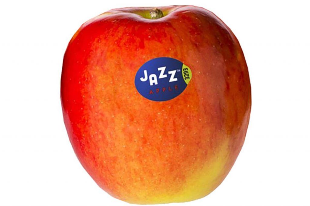 Top 10 Best Types of Apple in Malaysia 2025 9 Jazz apple