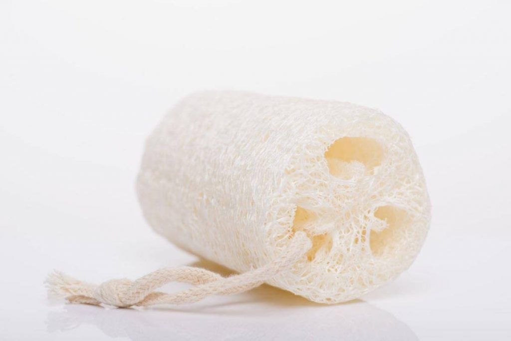 Top 10 Best Types of Cleaning Sponges 2025 6 Luffa sponge