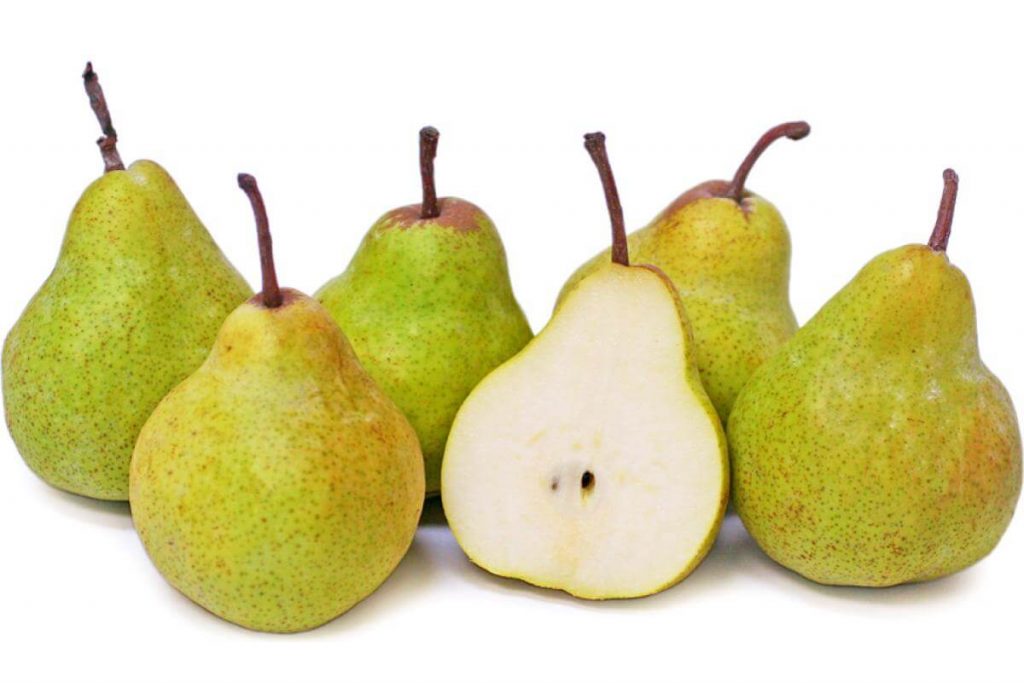10 Jenis Buah Pir Terbaik di Malaysia 2025 3 Packham pear