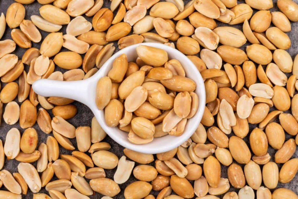 10 Jenis Kacang Terbaik di Malaysia 2025 2 Peanuts