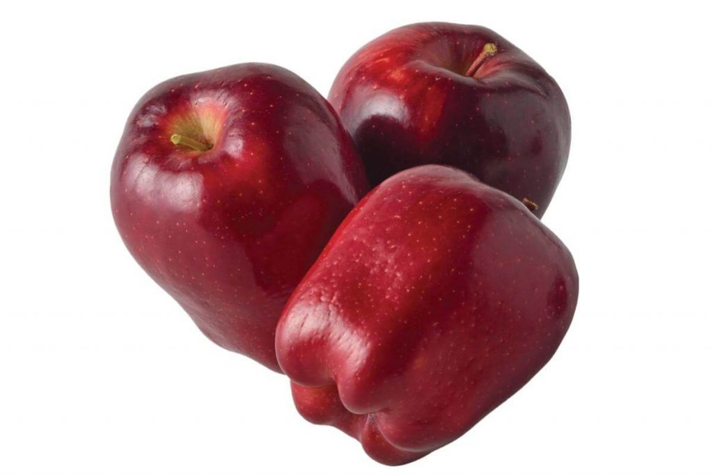 Top 10 Best Types of Apple in Malaysia 2025 5 Red Delicious apple