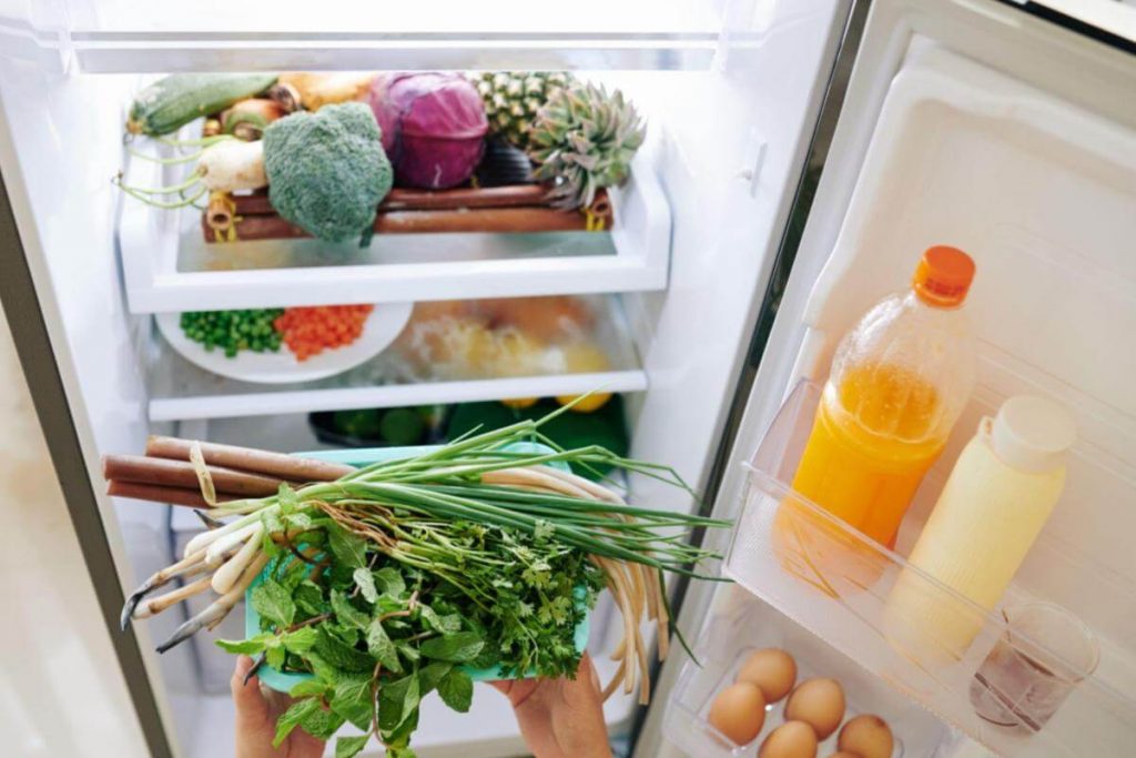 Top 10 Must-Have Items in Grocery List 2025 8 Refrigerator items