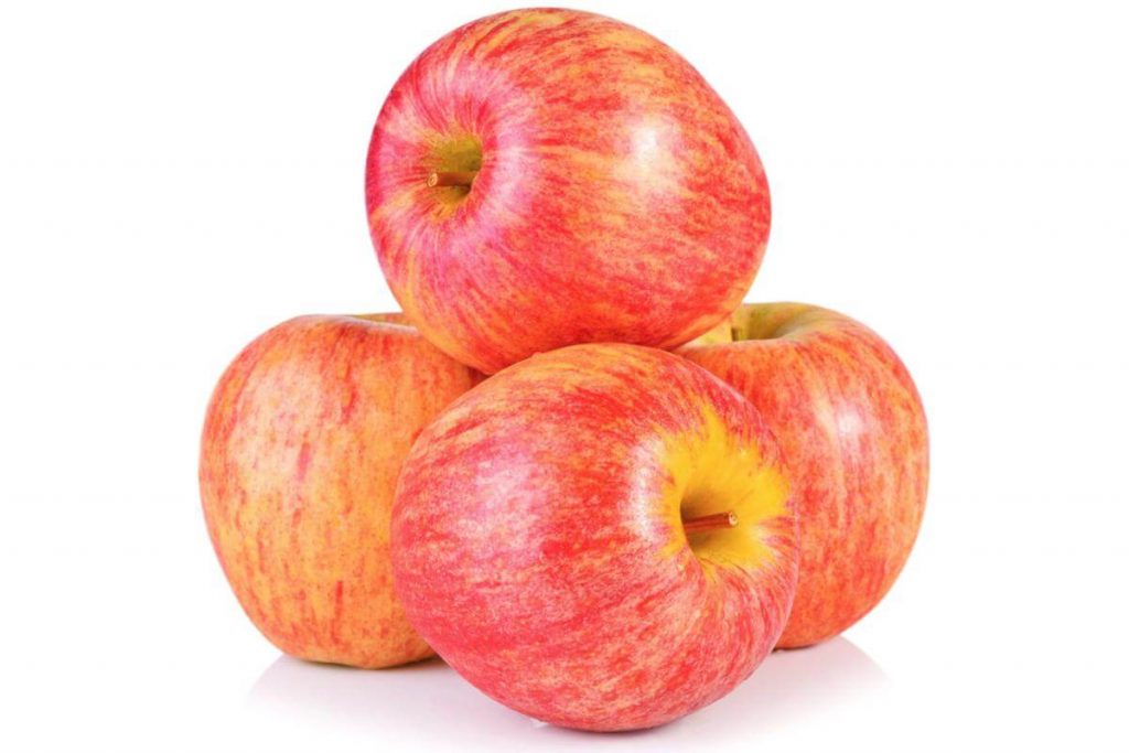 Top 10 Best Types of Apple in Malaysia 2025 6 Royal Gala apple