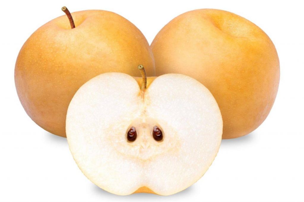 10 Jenis Buah Pir Terbaik di Malaysia 2025 10 Snow Pear
