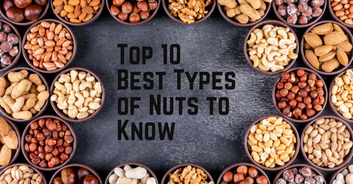 Top--Best-Types-of-Nuts-to-Know