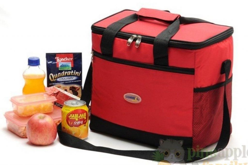 Top 10 Best Insulation Bag in Malaysia 2025 11 L Large Insulated Thermal Box
