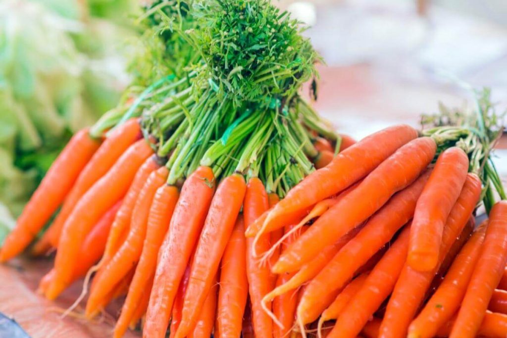8 Makanan Berwarna Oren Terbaik di Malaysia 2025 4 Carrot