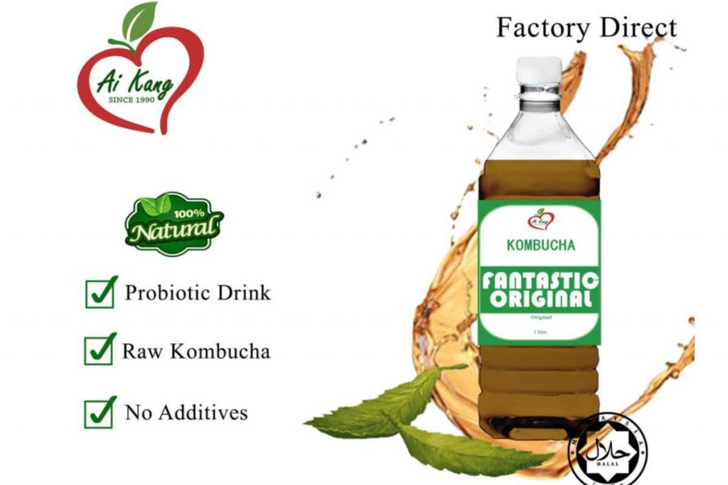 Top 10 Best Healthy Drinks in Malaysia 2026 11 Kombucha Raw Kombucha Fantastic Original