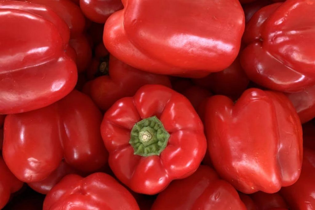 8 Sayur Merah Terbaik di Malaysia 2025 6 Red Bell Pepper