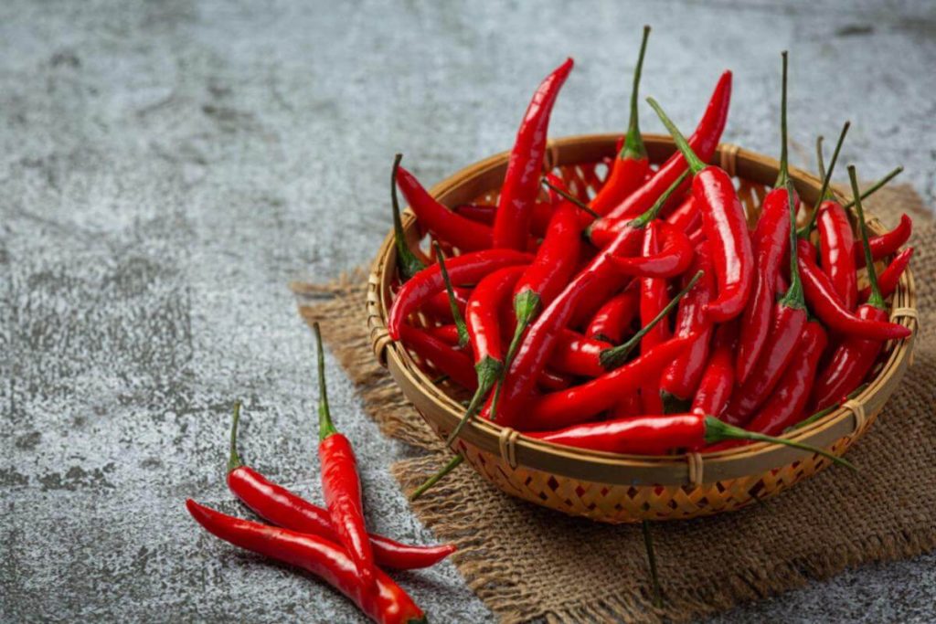 8 Sayur Merah Terbaik di Malaysia 2025 8 Red Chilli Peppers