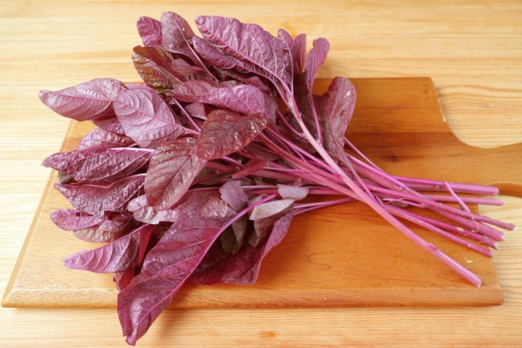 8 Sayur Merah Terbaik di Malaysia 2025 7 Red Spinach