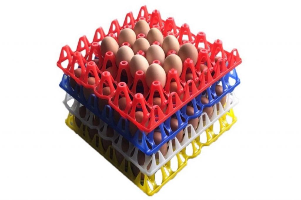 Top 8 Best Egg Trays in Malaysia 2025 6 Plastic Egg Tray