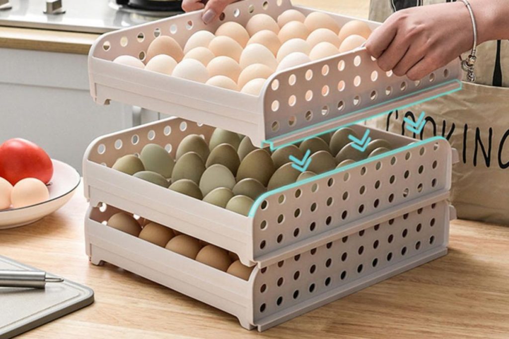 Top 8 Best Egg Trays in Malaysia 2025 5 Plastic Storage Container Case Egg Tray