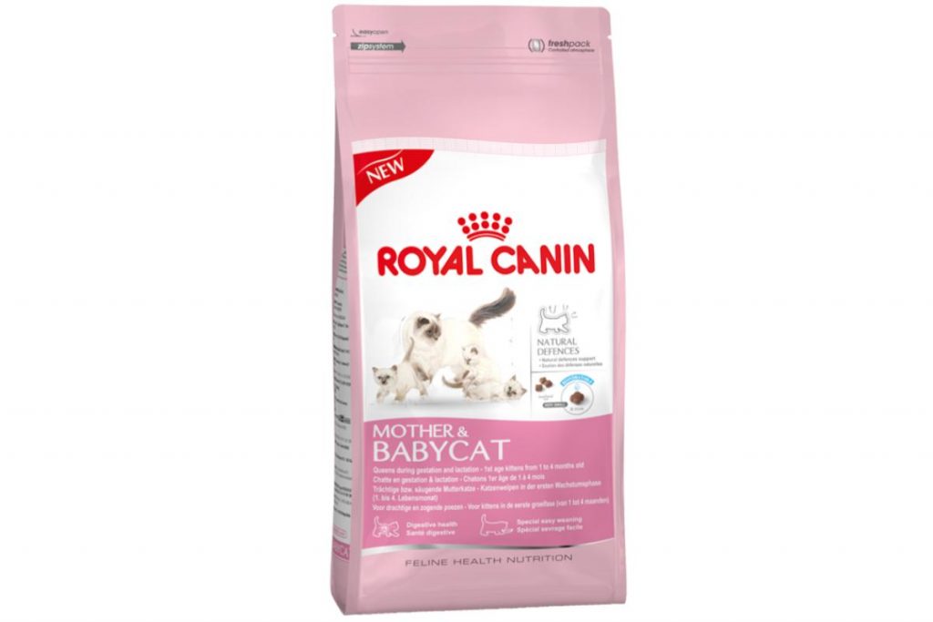 10 Makanan Kering Kucing Terbaik di Malaysia 2025 4 Royal Canin Mother Babycat Dry Food