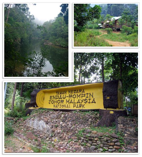 Top 10 Best National Parks in Malaysia 2025 9 Endau Rompin National Park