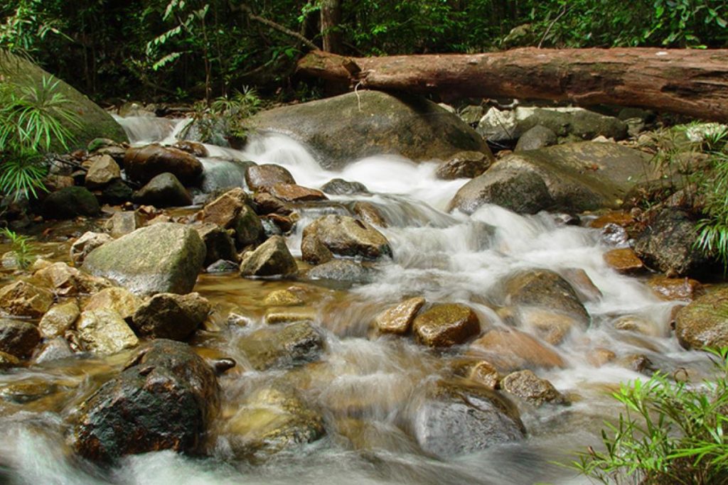Top 10 Best National Parks in Malaysia 2025 5 Gunung Ledang National Park