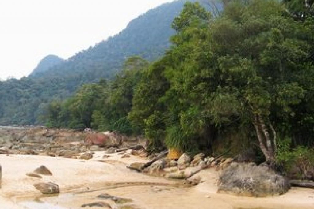 10 Tempat Percutian Alam Semula Jadi Terbaik di Malaysia 2025 21 Permai Rainforest Resort