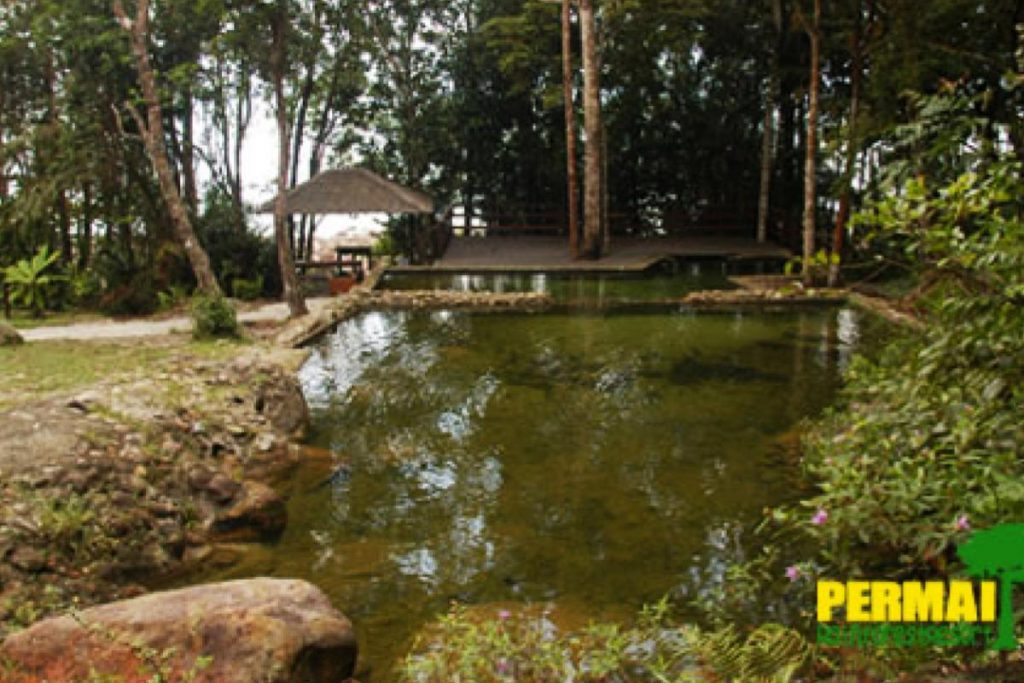 10 Tempat Percutian Alam Semula Jadi Terbaik di Malaysia 2025 22 Permai Rainforest Resort