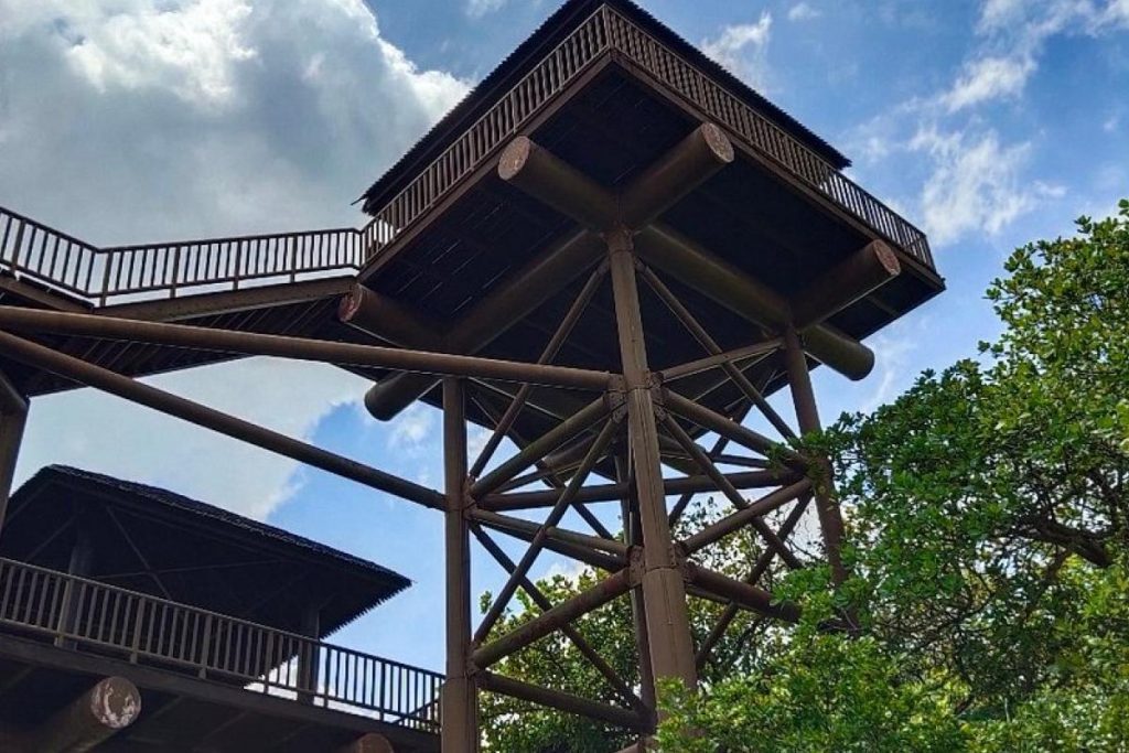 9 Tempat Menarik di Putrajaya 2025 11 Putrajaya Wetlands Park