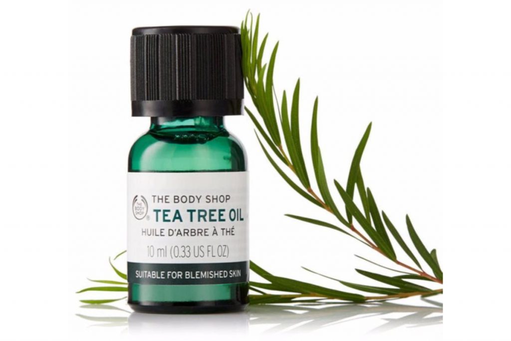 Top 10 Best Ways To Treat Back Acne in Malaysia 2025 6 Use Tea Tree Oil