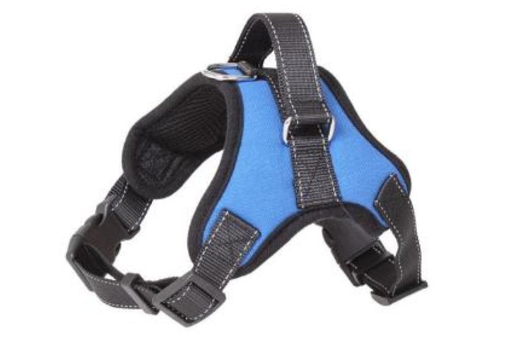 Top 8 Best Cat Harnesses in Malaysia 2025 4 Adjustable Traction Vest