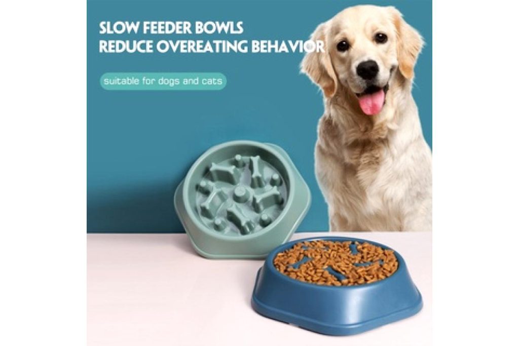 Top 8 Best Slow Eating Feeders for Pets in Malaysia 2026 6 Anti Obesity Dog Bowl