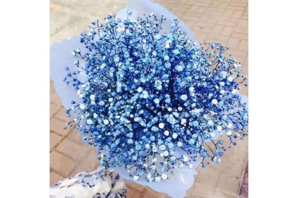 Top 10 Best Affordable Fresh Flowers in Malaysia 2025 5 Babys Breath