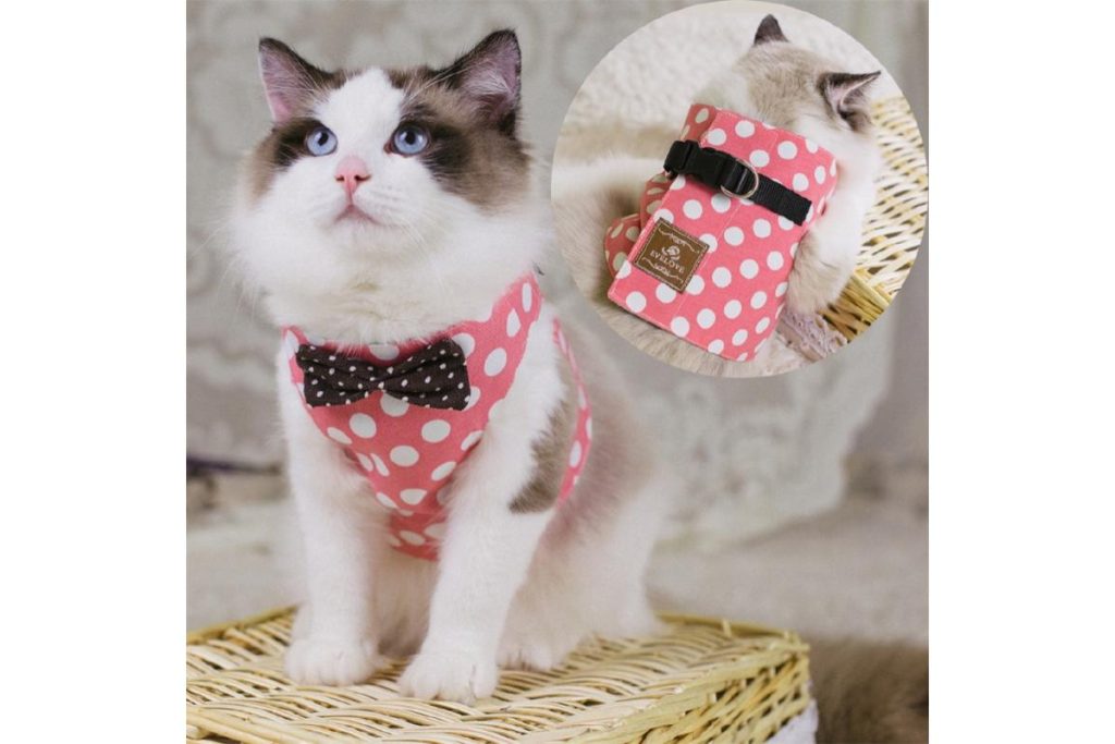 Top 8 Best Cat Harnesses in Malaysia 2025 5 Bow Tie Harness