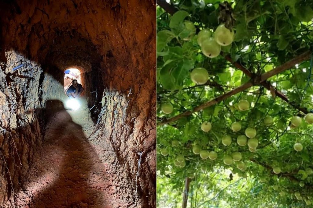 8 Tempat Penginapan Terbaik di Serendah 2025 23 Canaan Valley Serendah