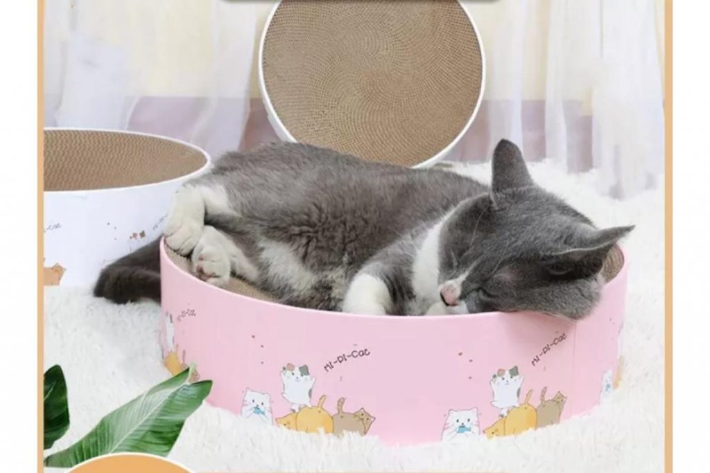 9 Cara Terbaik Untuk Memastikan Kucing Anda Gembira di Malaysia 2025 8 Change The Scratcher