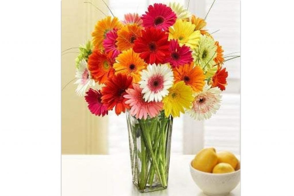 Top 10 Best Affordable Fresh Flowers in Malaysia 2025 6 Gerbera Daisy