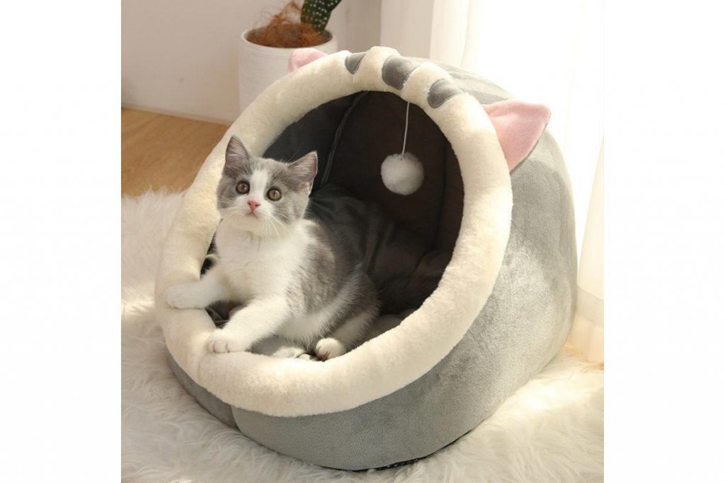 9 Cara Terbaik Untuk Memastikan Kucing Anda Gembira di Malaysia 2025 9 Get A New Bed