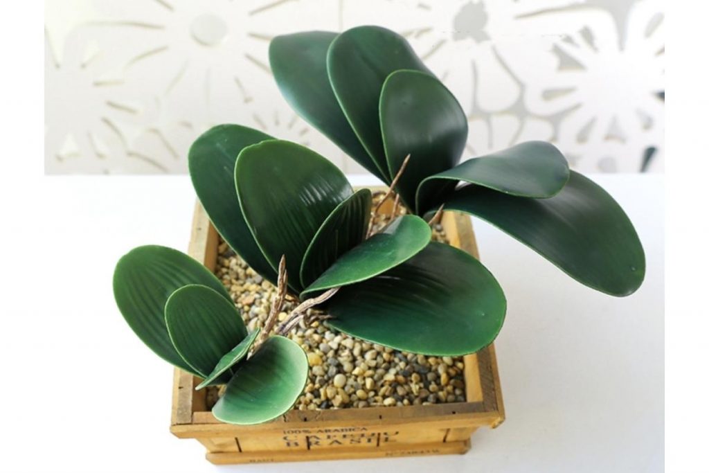 8 Tumbuhan Artifical Terbaik di Malaysia 2025 3 Phalaenopsis Leaf Artificial Plant