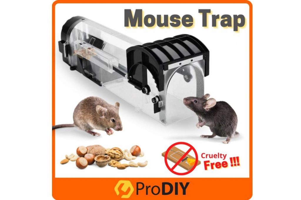 Top 8 Best Mouse Traps in Malaysia 2025 4 Pro Kill Mouse Trap