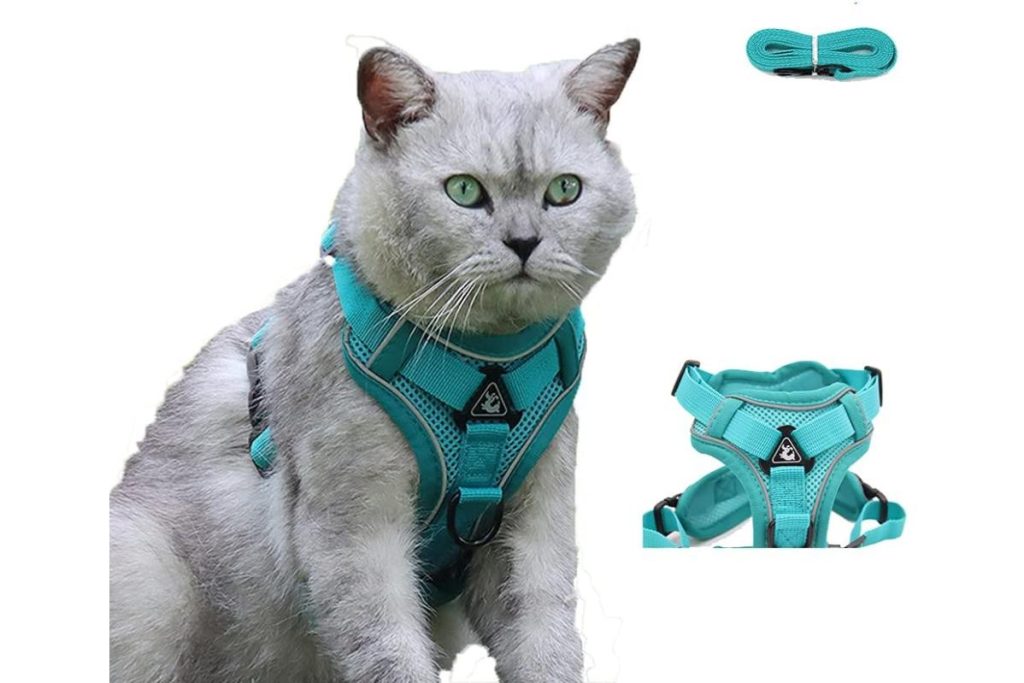 Top 8 Best Cat Harnesses in Malaysia 2025 8 Reflective Leash Set