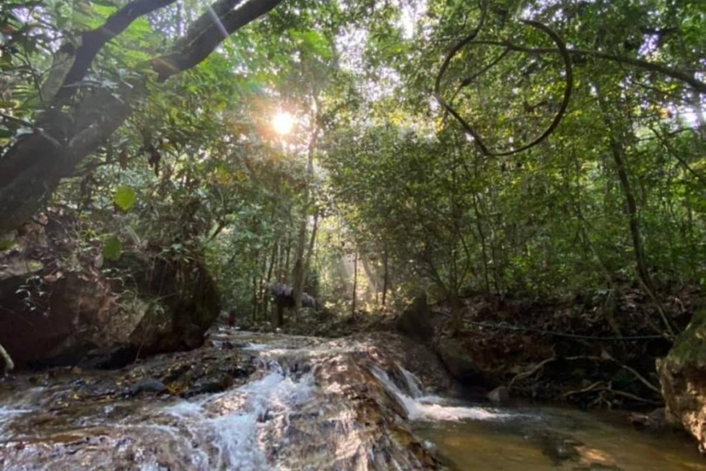 8 Tempat Penginapan Terbaik di Serendah 2025 15 Selaruloft Serendah